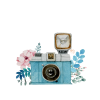 camara